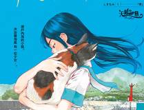 海贼王封面